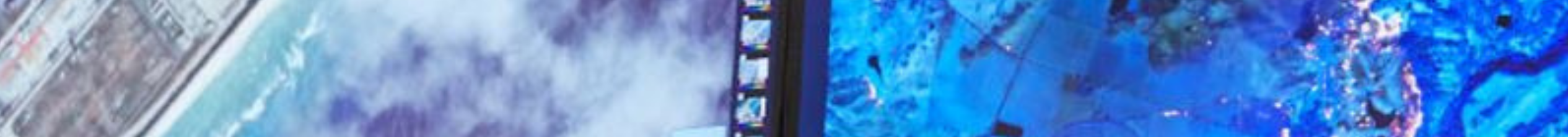 Professional Geospatial Services